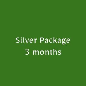 Silver Package (3 months)